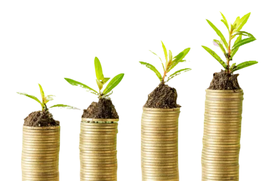 wepik-export-20240116050932jAtV